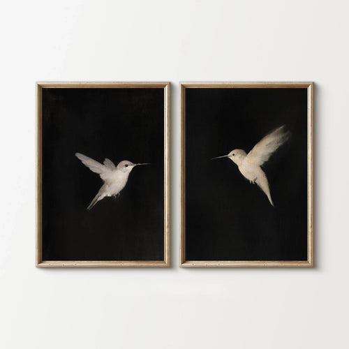 2pcs/set of Retro Hummingbird Animal Canvas Prints Minimalist Retro
