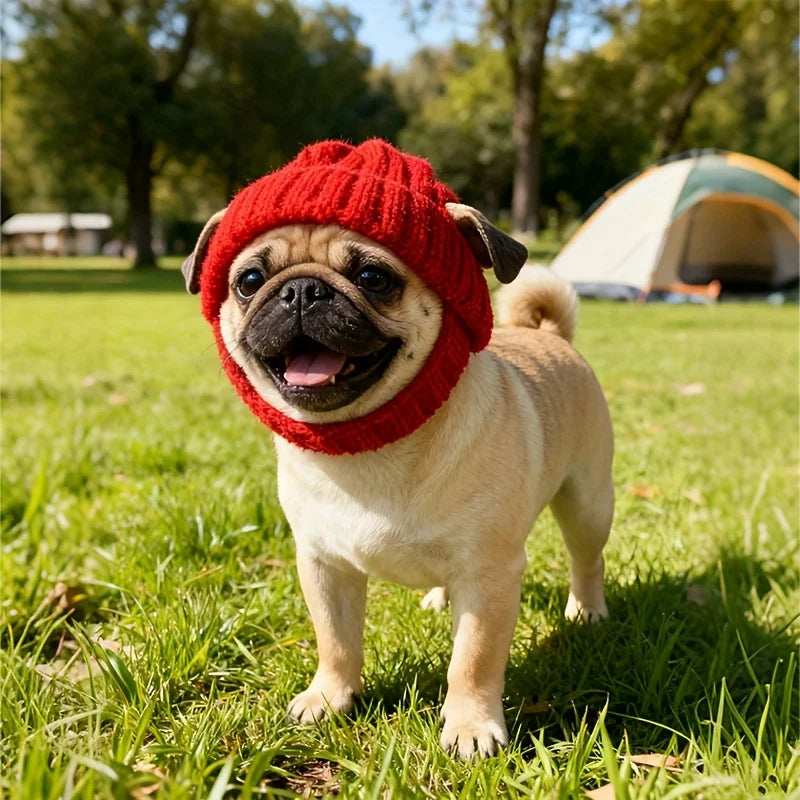 Maltese Dog Beanie Hat, Cozy Soft Knit with Ear Flaps, Cute Playful