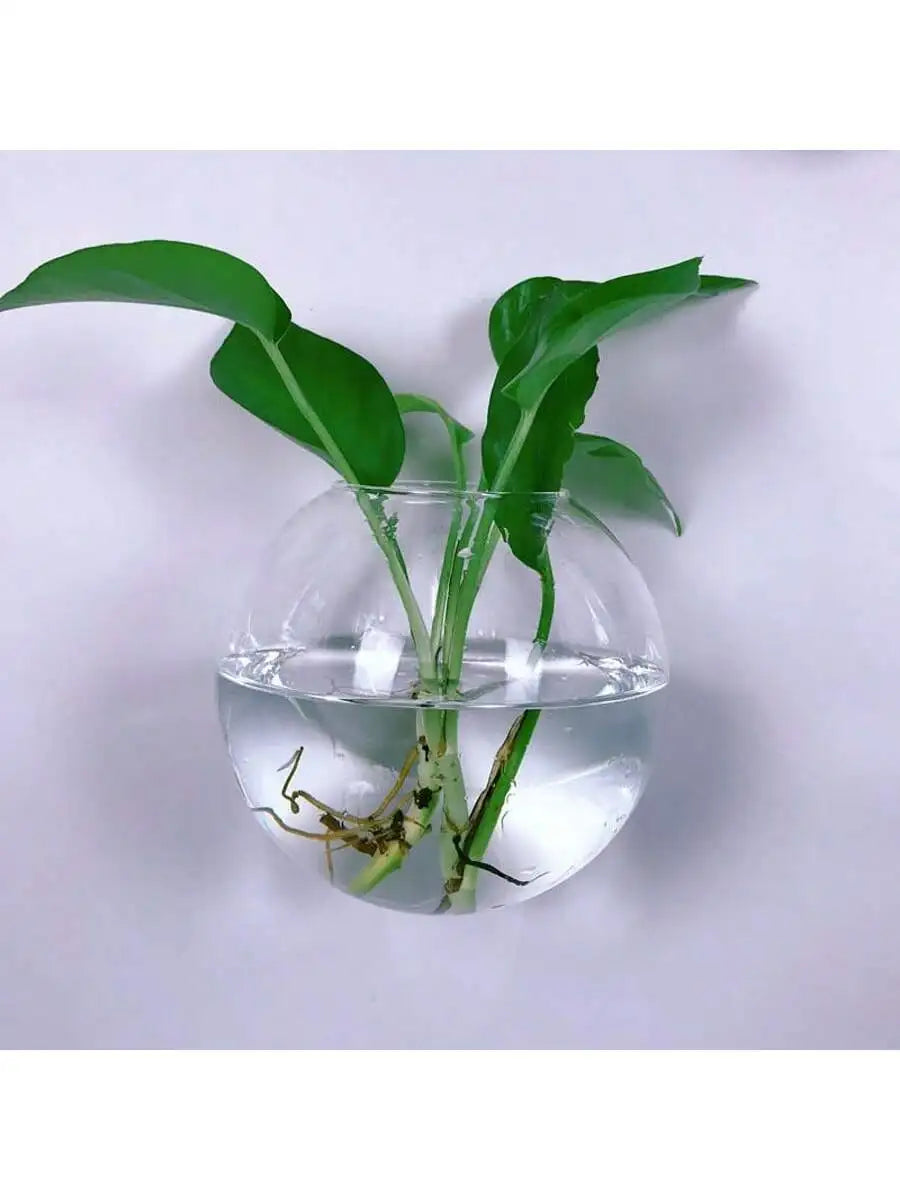 Wall Hanging Glass Terrarium - Self-Watering Hydroponic