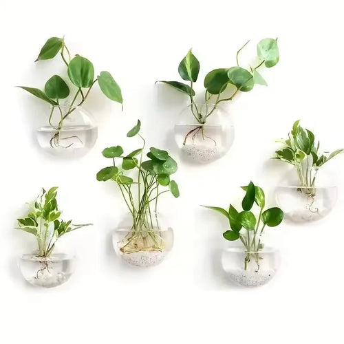 Wall Hanging Glass Terrarium - Self-Watering Hydroponic