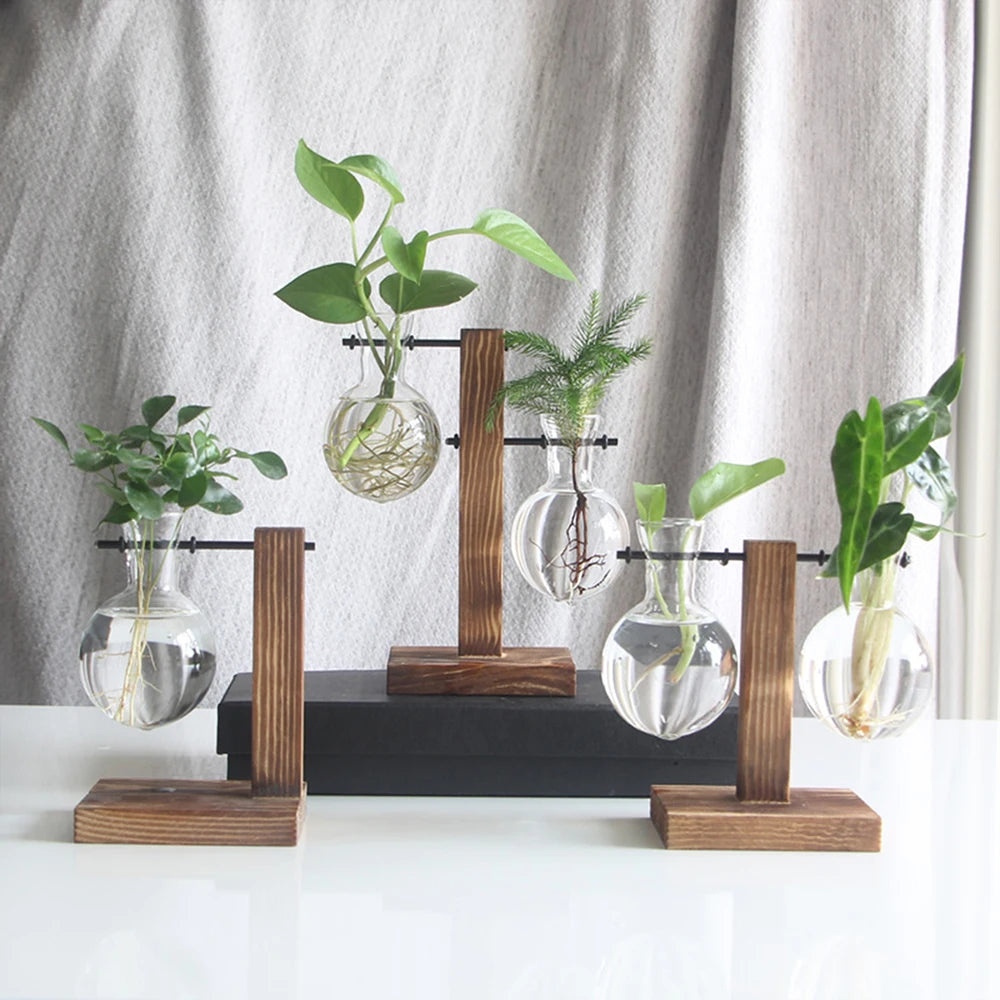 Creative Glass Desktop Planter Bulb Vase Wooden Stand Hydroponic Plant