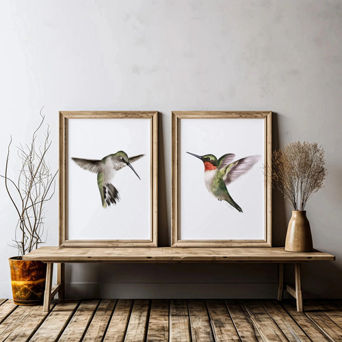2pcs/set of Retro Hummingbird Animal Canvas Prints Minimalist Retro