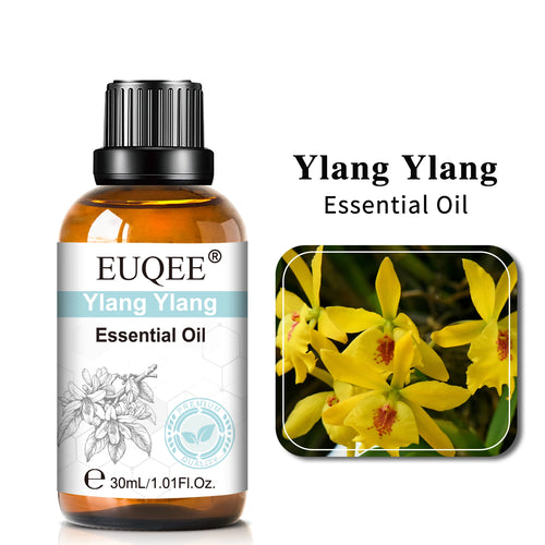 30ML Pure Essential Oil Vanilla Lavender Mint Rose for Aromatherapy