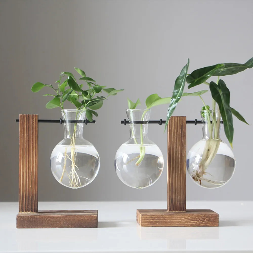 Creative Glass Desktop Planter Bulb Vase Wooden Stand Hydroponic Plant