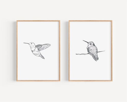 2pcs/set of Retro Hummingbird Animal Canvas Prints Minimalist Retro