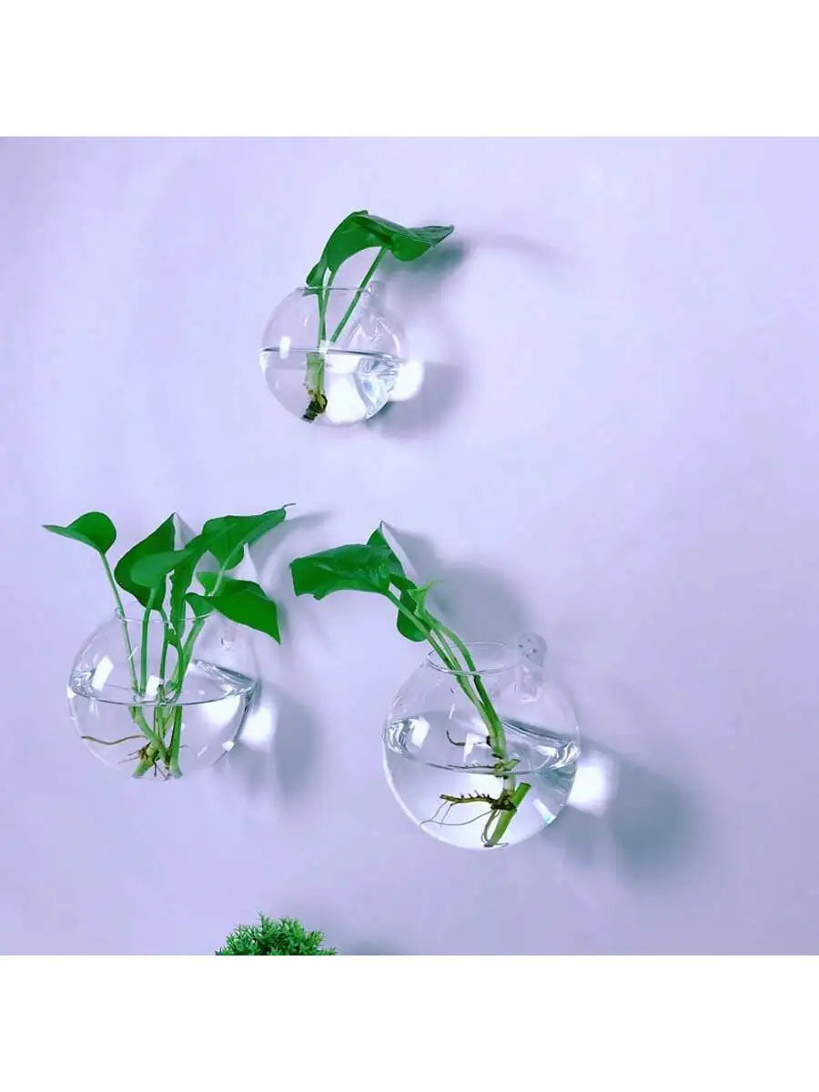 Wall Hanging Glass Terrarium - Self-Watering Hydroponic