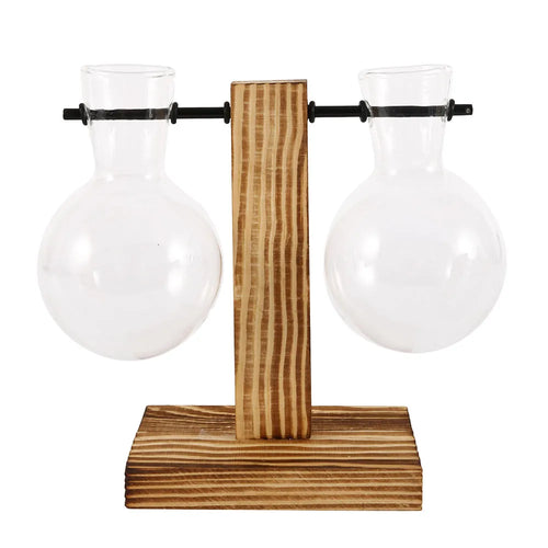 Creative Glass Desktop Planter Bulb Vase Wooden Stand Hydroponic Plant