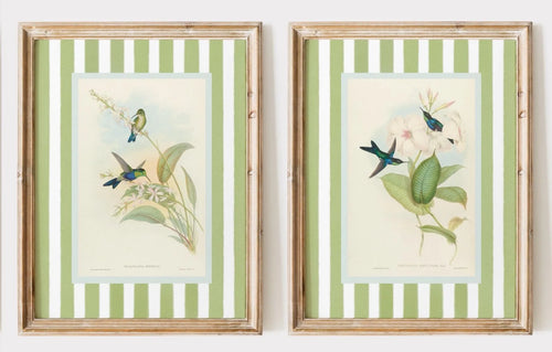 2pcs/set of Retro Hummingbird Animal Canvas Prints Minimalist Retro