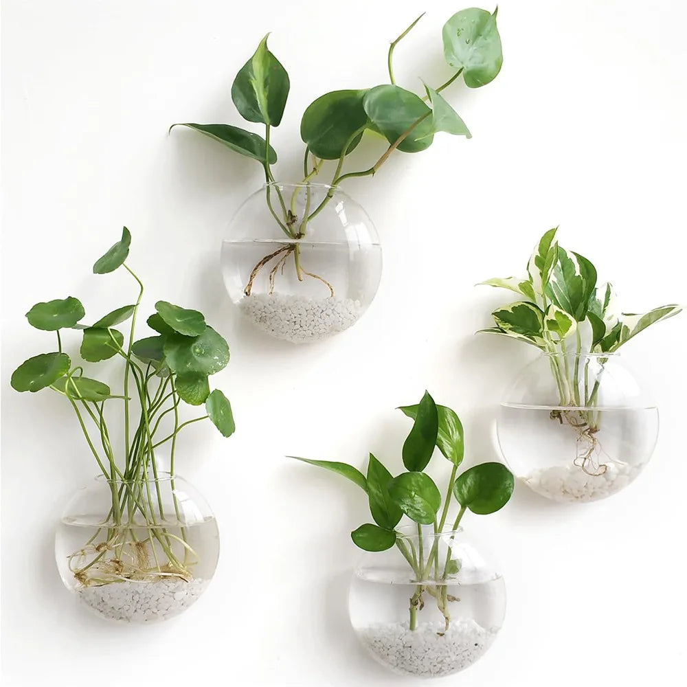 Wall Hanging Glass Terrarium - Self-Watering Hydroponic