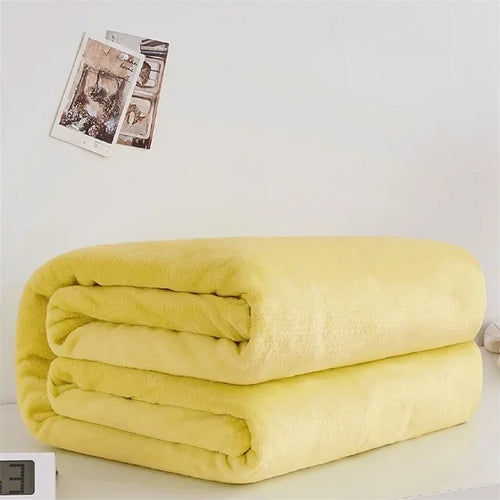 Soft and Warm Coral Velvet Winter Blanket Bed Cover Sofa