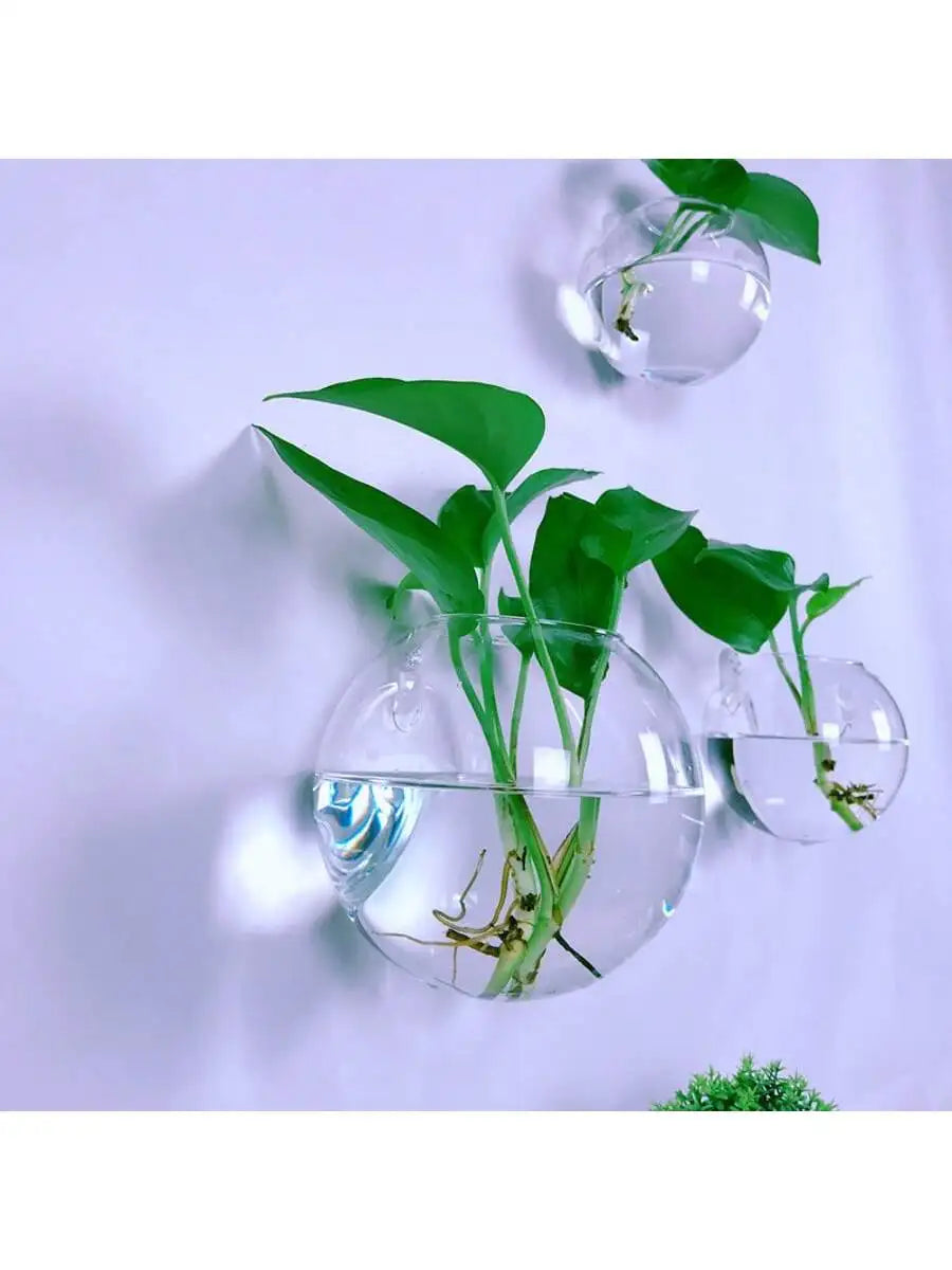 Wall Hanging Glass Terrarium - Self-Watering Hydroponic