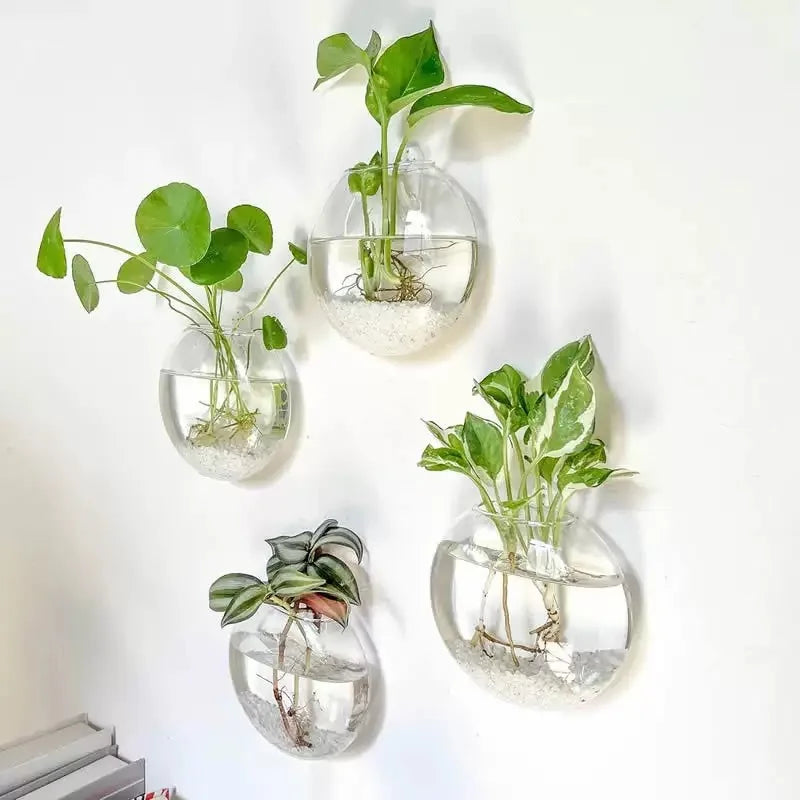 Wall Hanging Glass Terrarium - Self-Watering Hydroponic