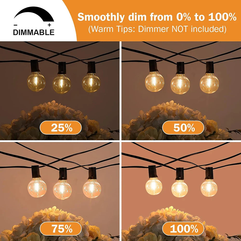 Outdoor String Lights LED G40 Festoon Fairy Patio Garland
