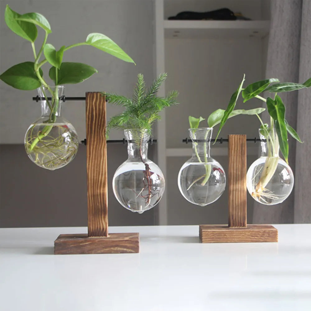 Creative Glass Desktop Planter Bulb Vase Wooden Stand Hydroponic Plant